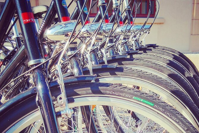 2 1/2h Guided Bicycle Tour Discover Heidelberg - Passing the Bergfriedhof cemetery stop