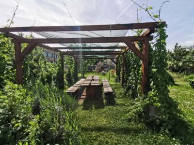 Beer & Brewery Tour – 2 Hour – English Or German