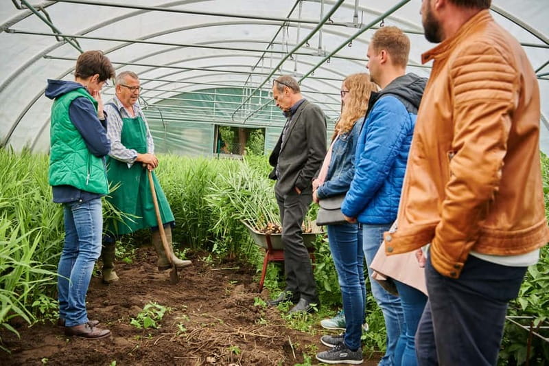 Bamberg: Guided Tour of the Gardeners' District - Niedermaier’s organic market garden: where tradition meets today