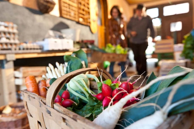 Bamberg: Guided Tour of the Gardeners' District - Museum of market gardeners and wine growers: turning visuals into understanding