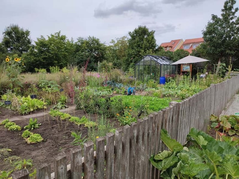 Bamberg: Guided Tour of the Gardeners' District - How long it really takes, and how the pace feels