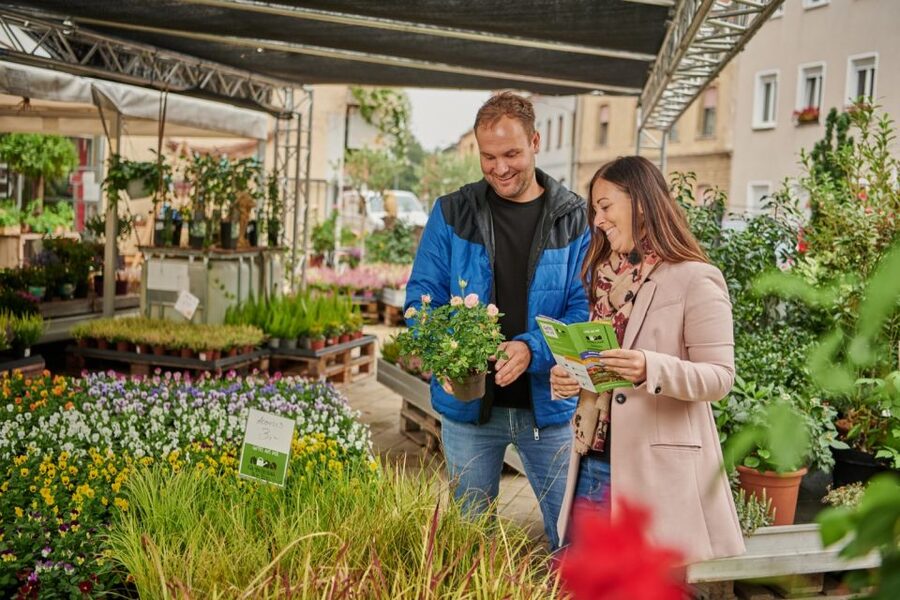 Bamberg: Guided Tour of the Gardeners' District - Who this tour suits best in Bamberg