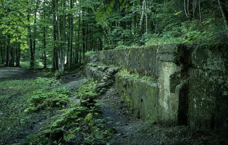 Berchtesgaden: Private Eagle's Nest & Obersalzberg WWII Tour - Key Things I’d Bet You’ll Care About