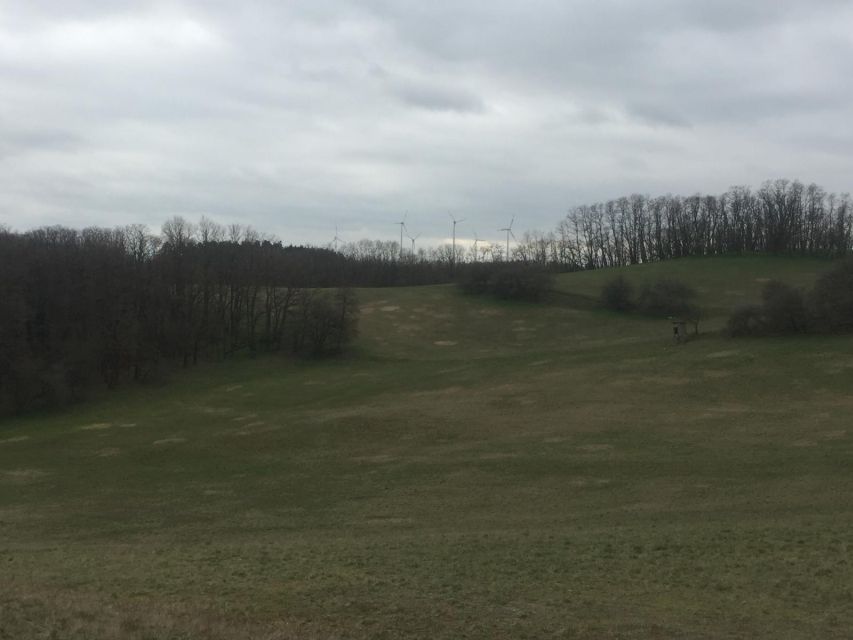 Berlin: Battle for Seelow Heights WW2 tour -Clash of Titans - What the guide teaches: infantry tactics and combined arms, made usable