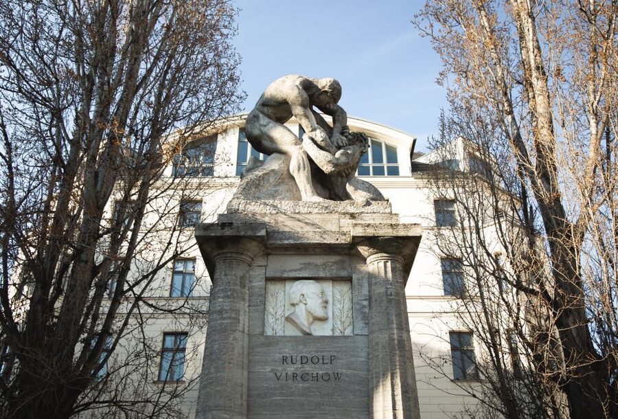 Berlin: Berlin Charité Guided History Tour - Who This Tour Best Fits (and Who Might Want Something Else)