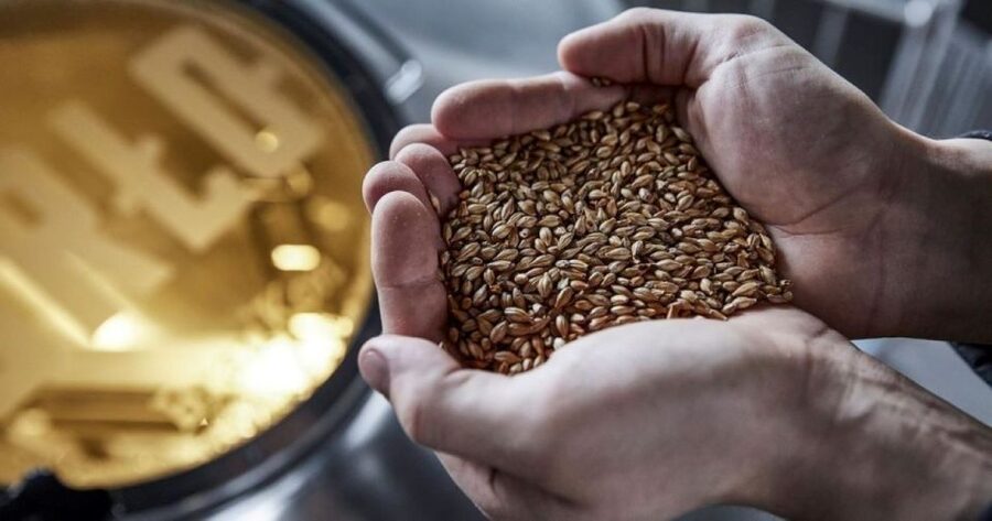 Berlin: BRLO BRWHOUSE Tour and Craft Beer Tasting - How Beer Gets Made, and Why Ingredients Matter