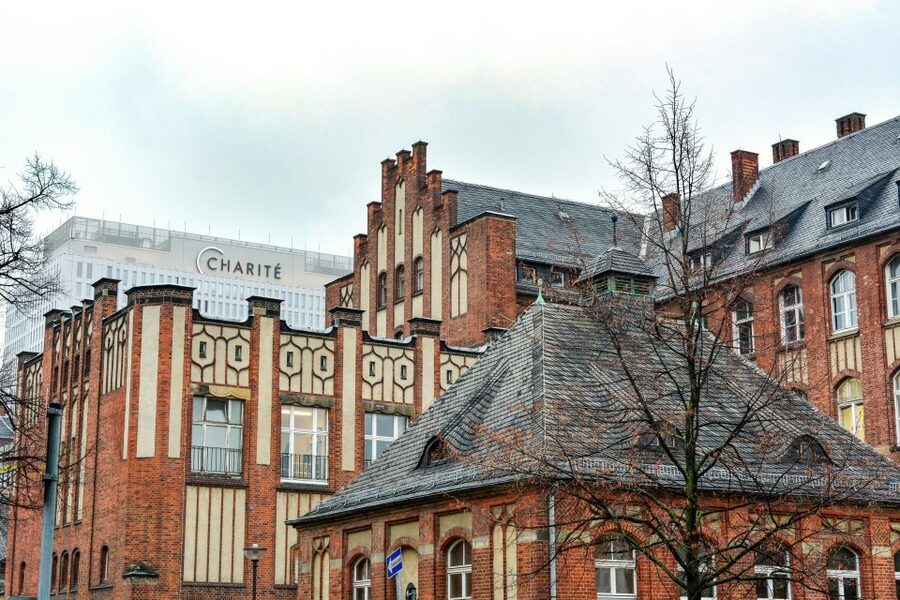 Berlin: Charité Hospital Walking Tour of Medical History - Robert Koch and Rudolf Virchow: the science you can still recognize