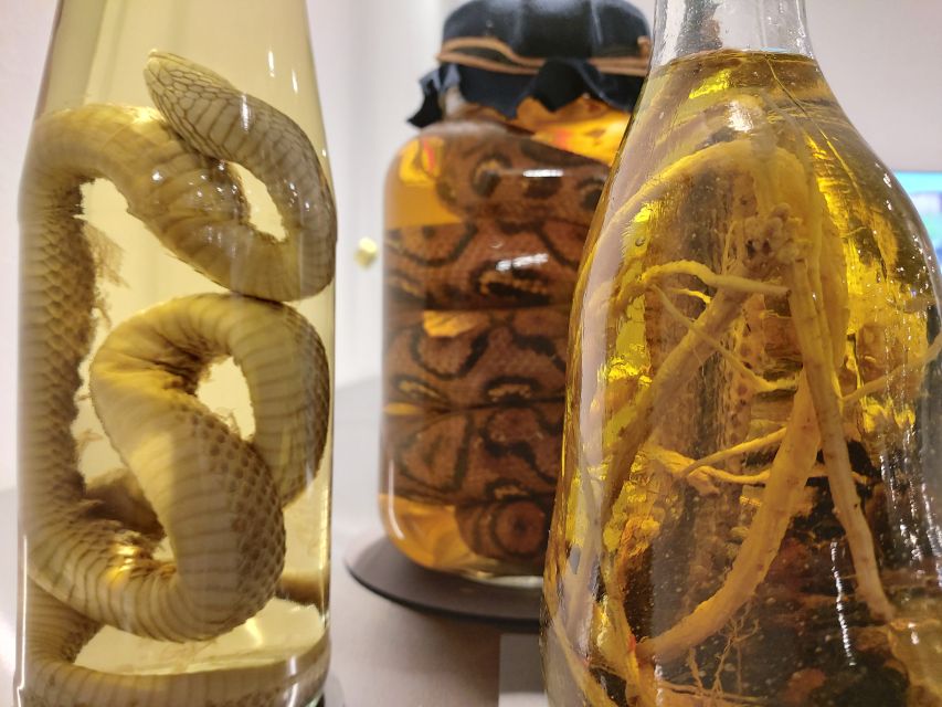 Berlin: Disgusting Food Museum Entry Ticket and Tasting - Key highlights worth planning around