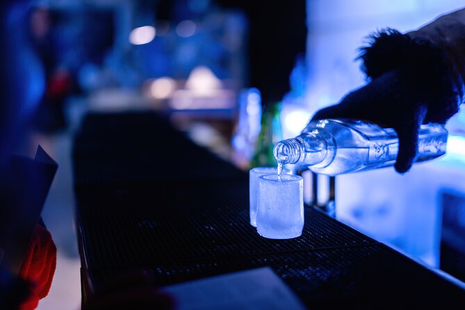 Berlin Icebar Experience Including 3 drinks - Your One-Hour Flow: Warm Bar First, Then the Ice Section