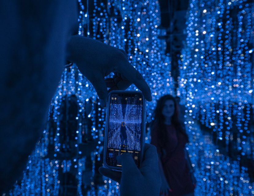 Berlin: Interactive DeJa Vu Museum Entrance Ticket - Oleg Shupliak artwork, how the portrait game works