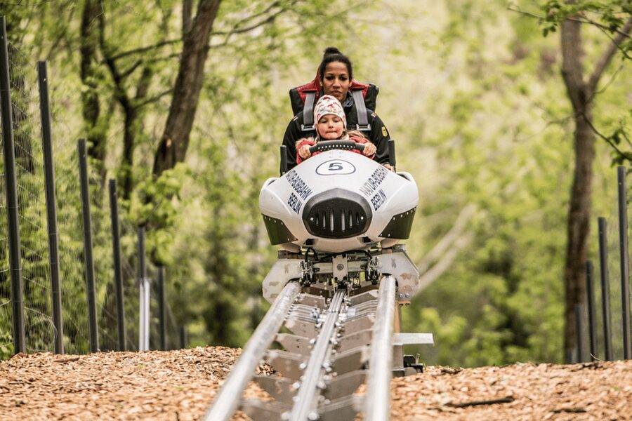 Berlin: Nature Bobsled Run Ticket - Price and ticket value: why this is such a bargain