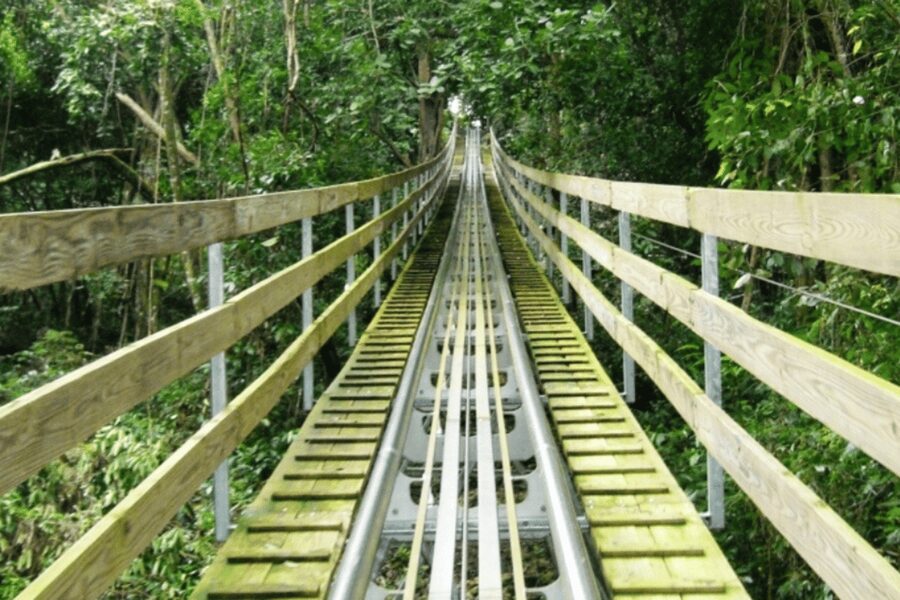 Berlin: Nature Bobsled Run Ticket - Operating times and why you must check the schedule