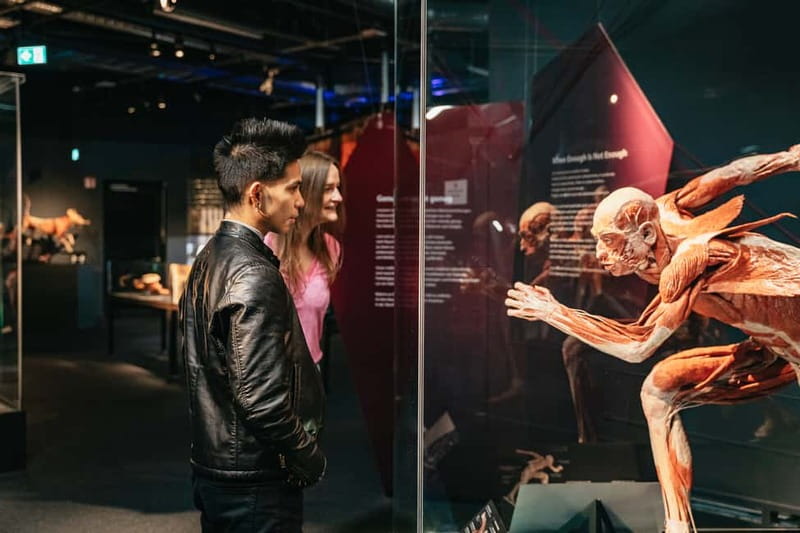 Berlin: Tickets for the BODY WORLDS Museum in Berlin - BODY WORLDS Museum Berlin, what you are really buying