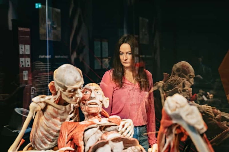 Berlin: Tickets for the BODY WORLDS Museum in Berlin - Development and the human life cycle angle