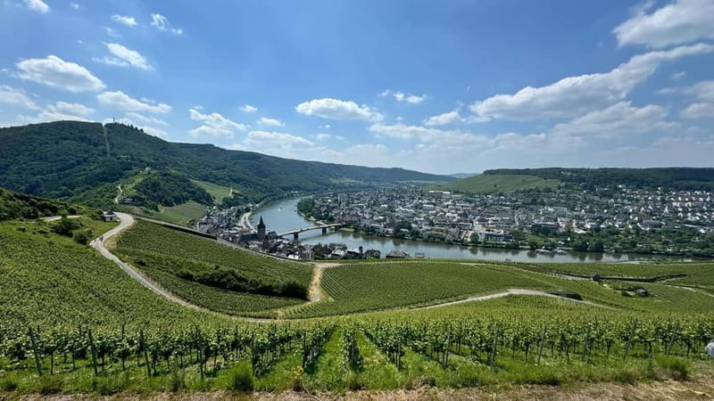 Bernkastel: 1-hour panoramic boat tour Lieser, Mülheim and back - Mülheim Across the Moselle: Wine-Town Feeling Without the Crowds