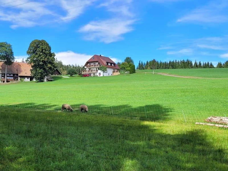 Black Forest: Ravenna Gorge Hike, Self-Guided - Quick takeaways before you go