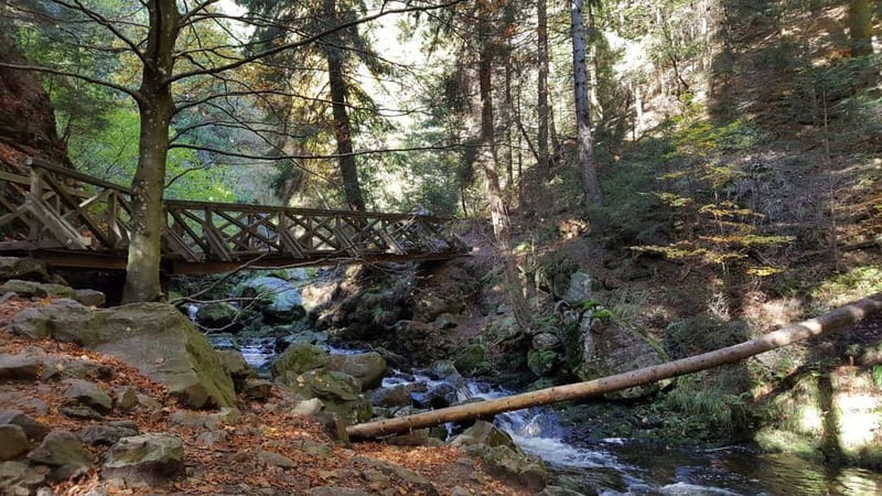 Black Forest: Ravenna Gorge Hike, Self-Guided - A train ride from Freiburg to real Black Forest quiet