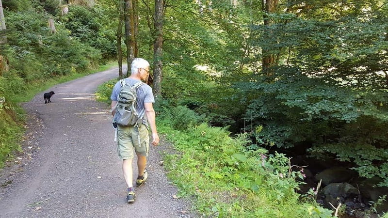 Black Forest: Ravenna Gorge Hike, Self-Guided - Black Forest history, mills, the oldest chapel, and the cuckoo clock