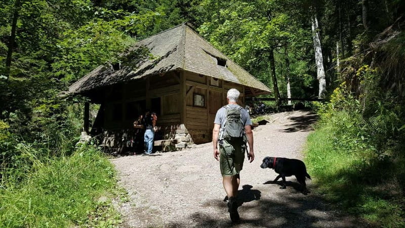 Black Forest: Ravenna Gorge Hike, Self-Guided - Hinterzarten: where to eat, shop, and reset your feet