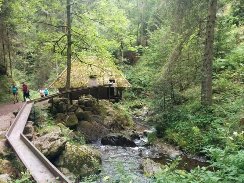 Black Forest: Ravenna Gorge Hike, Self-Guided - How the app-guided route works (and what to do if it glitches)