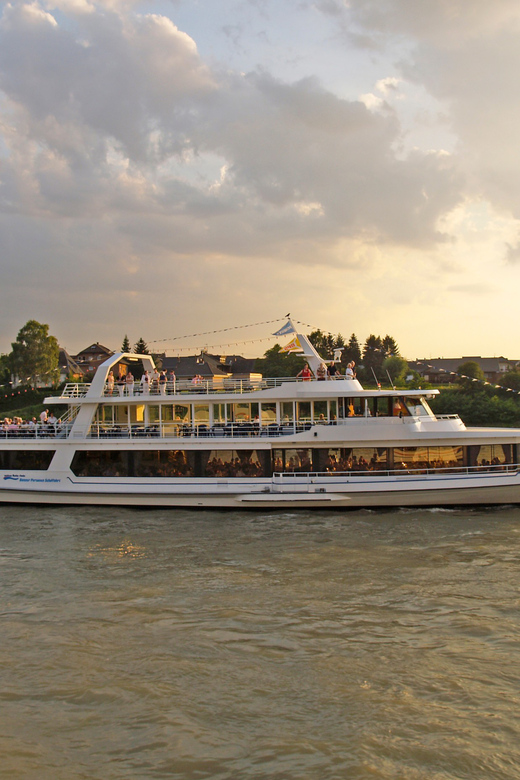 Bonn: 1.5-Hour River Cruise on the Rhine - Königswinter Glide-By: The Rhine Looks Like a Picture Here