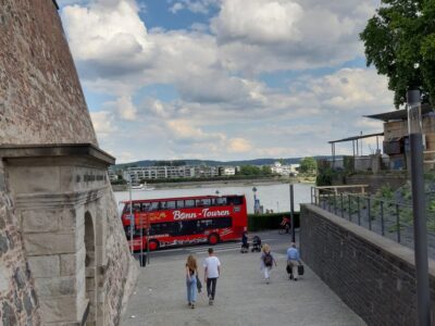 24-Hour Hop-On Hop-Off Sightseeing Bus Ticket