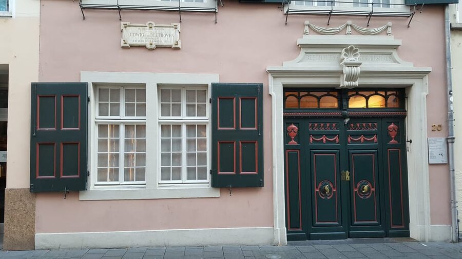 Bonn: Private City Highlights Walking Tour - Viewpoints and Distant Bonn, Münsterkirche and Barocke Meile