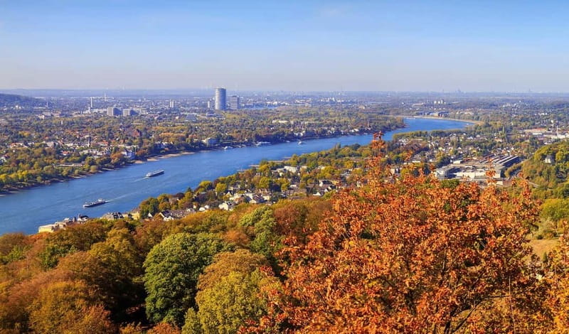 Bonn: Winter tour by boat with mulled wine - Music without narration: a mood trip, not a history trip
