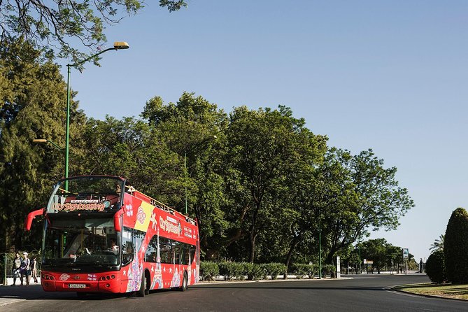 City Sightseeing Potsdam Hop-On Hop-Off Bus Tour - Upper-Deck Comfort and the Reality of Cobblestones