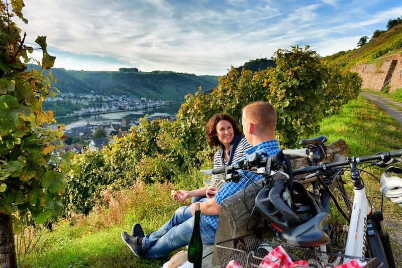 Cochem: Bike and Boat Tour with Picnic and Wine Tasting - Should you book the Cochem bike and boat with picnic and wine?