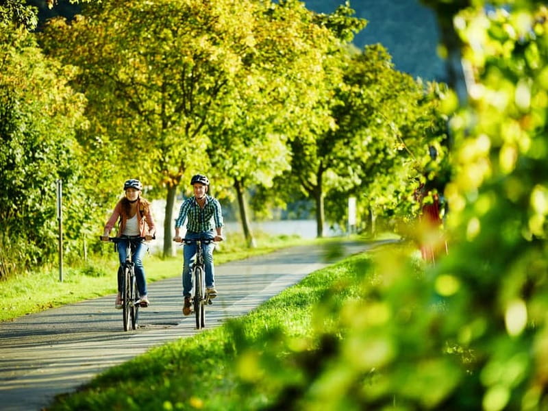 Cochem: Bike and Boat Tour with Picnic and Wine Tasting - Picnic lunch on the Moselle banks: why this is more than just food