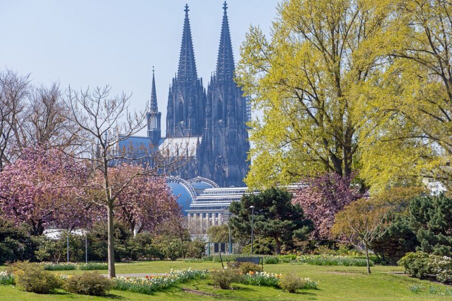 Cologne: City Highlights Segway Tour - Domplatte to Hohenzollern Bridge: Cathedral Area Views, Then Love Locks
