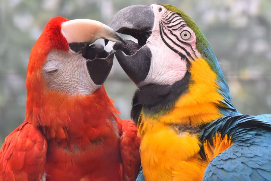 Cologne: Cologne Zoo and Aquarium Entry Ticket - Key highlights you will feel fast