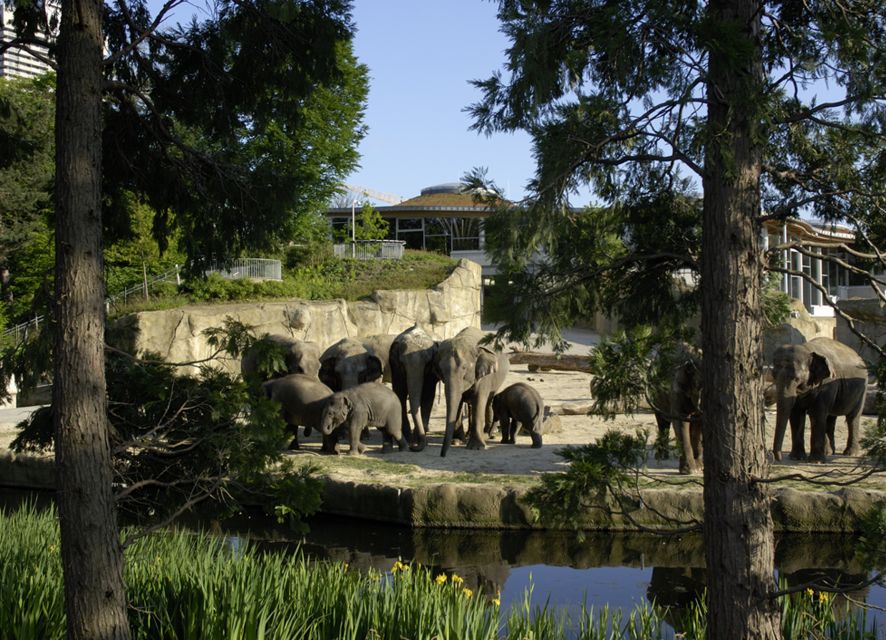 Cologne: Cologne Zoo and Aquarium Entry Ticket - Entering Cologne Zoo, it is built for wandering