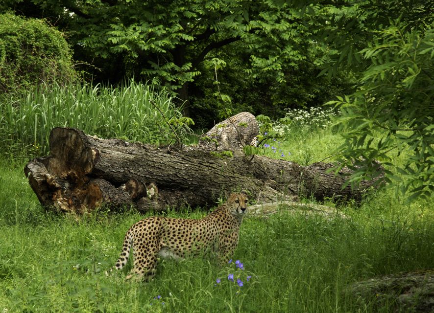 Cologne: Cologne Zoo and Aquarium Entry Ticket - Clemenshof farmyard petting, and why it is worth your time