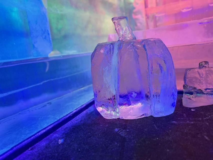 Cologne: IceBar Entry Ticket with Drinks - Price and What You Truly Get for $31