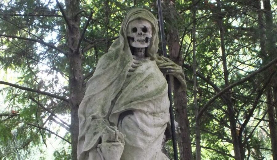 Cologne: Melaten Cemetery Life, Love and Death Tour - Cologne’s Melaten Cemetery is a surprisingly good walking tour