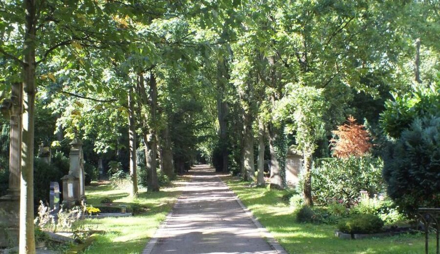Cologne: Melaten Cemetery Life, Love and Death Tour - Silence in the middle of the city, plus the park setting