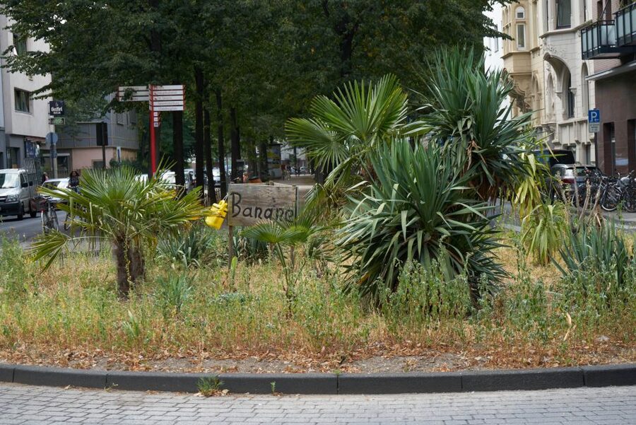 Cologne: Südstadt Guided Foodie Walking Tour - St. Severin, House Balchem, and the wrong side of the Rhine