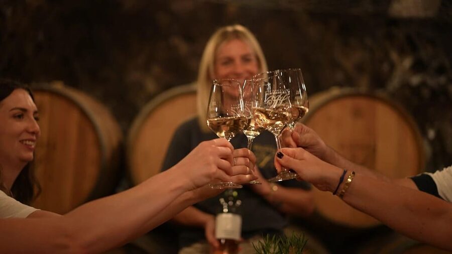 Discovery tour - cellar tour with wine tasting - Stainless Steel Meets Barrels: What the Cellar Stops Teach You