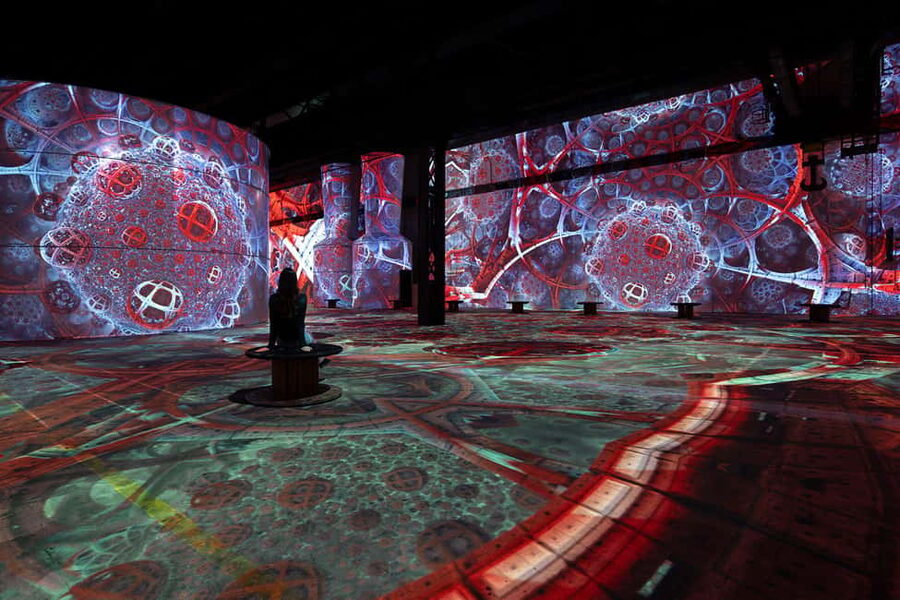 Dortmund: Phoenix des Lumières Ticket – Monet - Ticket value: is it worth about $20 for one hour?