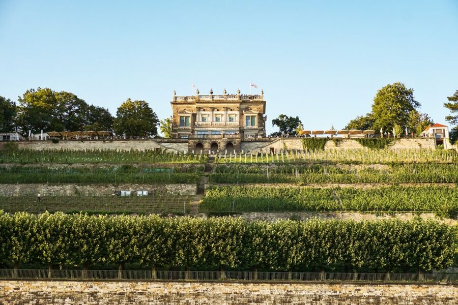 Dresden: Elbe River Cruise to Pillnitz Castle - Comfort, weather, and photo angles on the Elbe