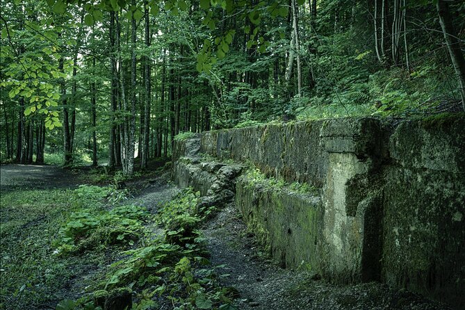 Eagle's Nest-Berchtesgaden-Obersalzberg Private Half Day WWII Historical Tour - The half-day format in Berchtesgaden, private and efficient
