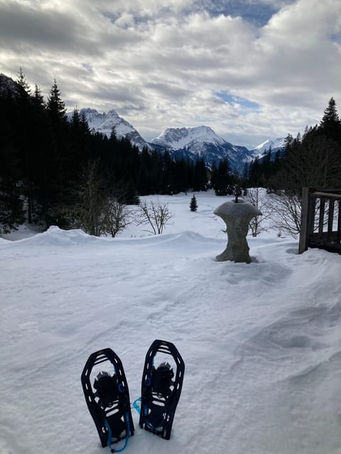 Ehrwald: Zugspitze Snowshoe Hiking Tour with Mountain Views - Key things I’d clock before you go