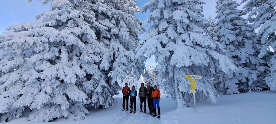 Ehrwald: Zugspitze Snowshoe Hiking Tour with Mountain Views - Zugspitze Mountain Views Begin at Ebne 5