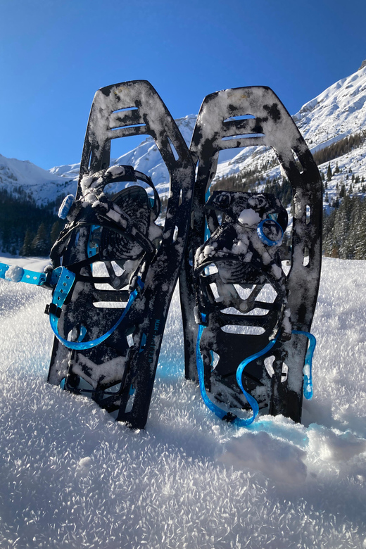 Ehrwald: Zugspitze Snowshoe Hiking Tour with Mountain Views - From Snowshoes to Crampons: When Weather Calls the Shots