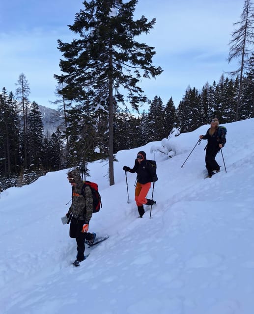 Ehrwald: Zugspitze Snowshoe Hiking Tour with Mountain Views - Zugspitze Trail Time: Panoramas and a Walk With Purpose