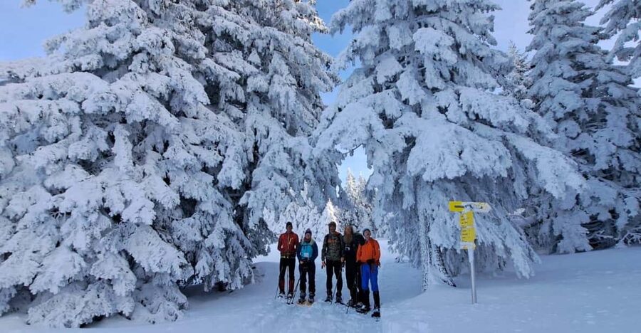 Ehrwald: Zugspitze Snowshoe Hiking Tour with Mountain Views - Wildlife Watching on a Quiet Winter Route
