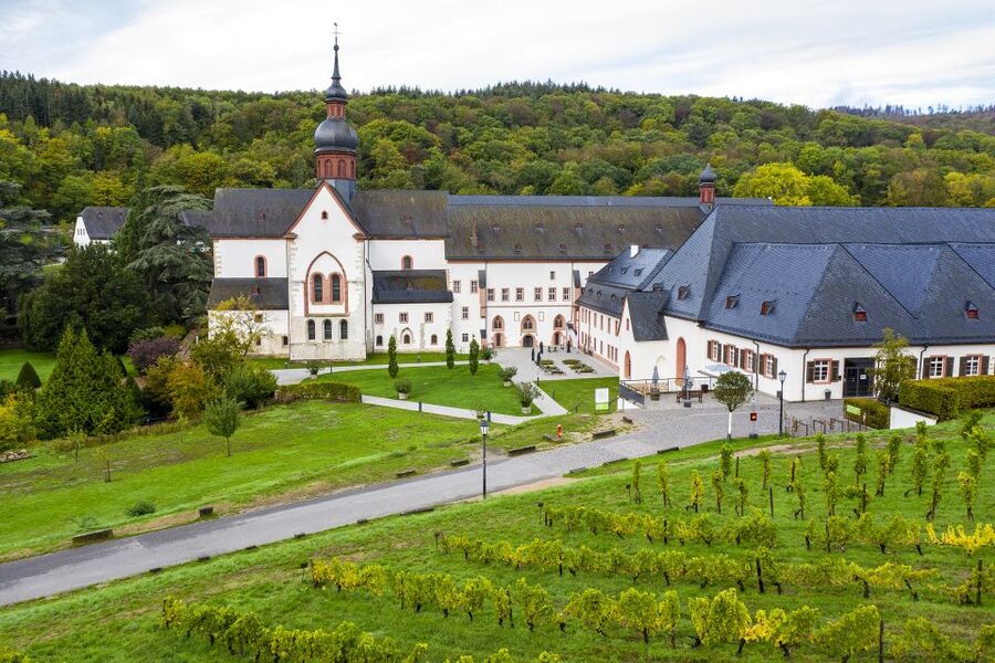 Eltville: Eberbach Monastery Entry Ticket - Ederbach Monastery wine house: try local wine the sensible way