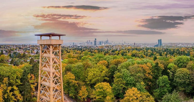 Frankfurt Card: Experience Frankfurt at the Best Price - Architecture, old streets, and a museum day that still feels human